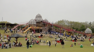 04.jpg
