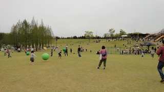 05.jpg