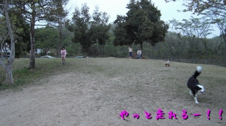 06.jpg