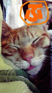 2011012622070001.jpg