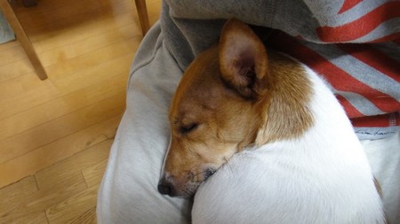 201505.jpg