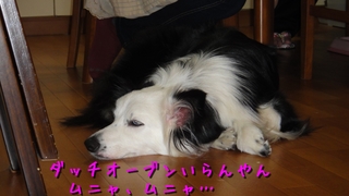 DO4.jpg