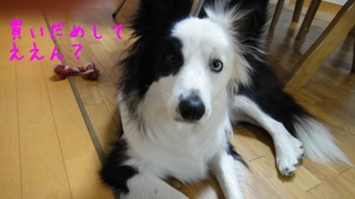 DSC00092.jpg