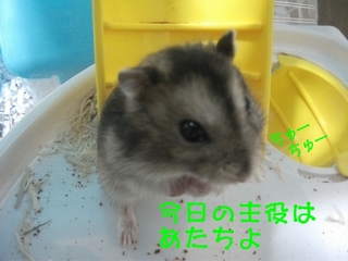 DSCF9197.jpg