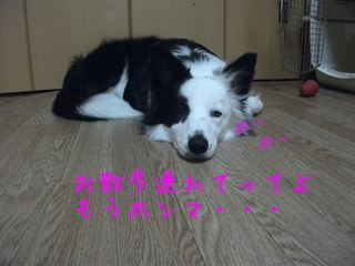 DSCF9220.jpg