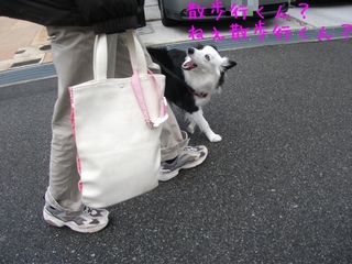 DSCF9346.jpg