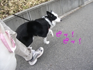 DSCF9352.jpg