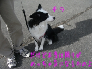 DSCF9360.jpg