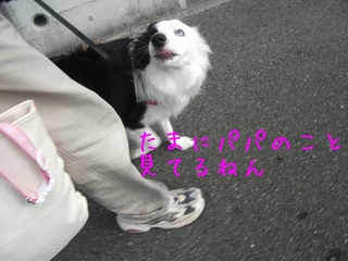 DSCF9369.jpg