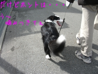 DSCF9381.jpg