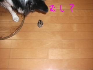 DSCF9391.jpg
