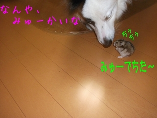 DSCF9393.jpg