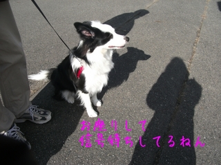 DSCF9443.jpg