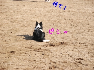 DSCF9464.jpg