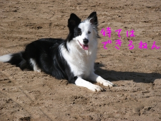 DSCF9467.jpg