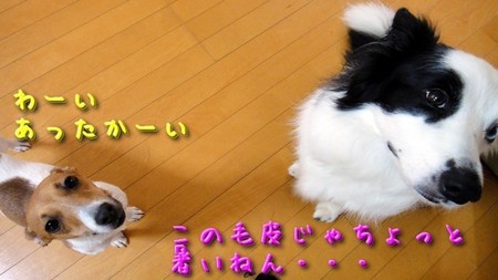 さくら21.jpg