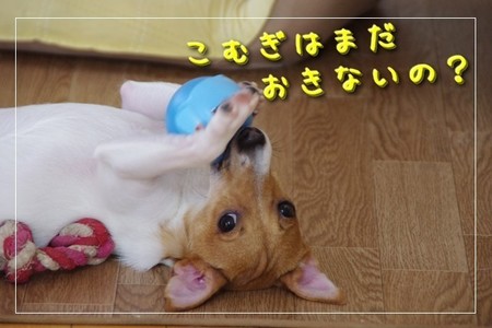 さくら7.jpg