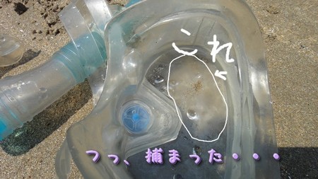 さくら27.jpg