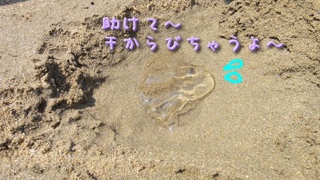 さくら28.jpg