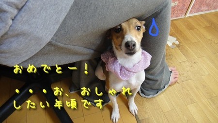 さくら31.jpg.jpg