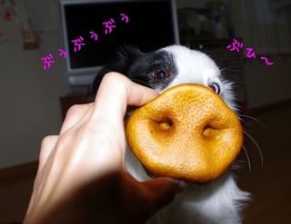 ブタさくら3.jpg