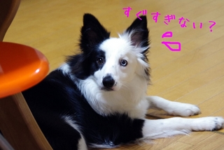 一緒に2.jpg