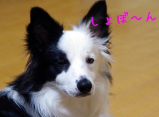 一緒に3.jpg