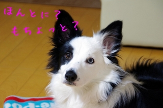 元気なったかな2.jpg