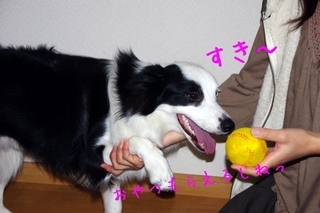 好きキライ1.jpg
