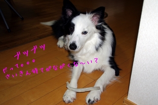 好きキライ2.jpg