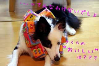 復活4.jpg