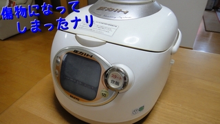 ECJ-BG10.jpg