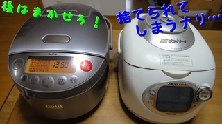 ECJ-BG10_3.jpg