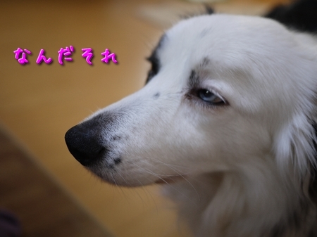 GF1_04.jpg