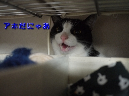 GF1_05.jpg