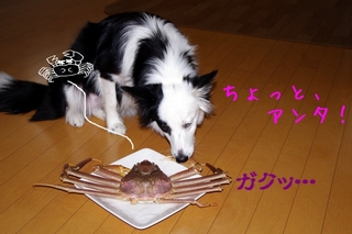 IMGP0318.jpg