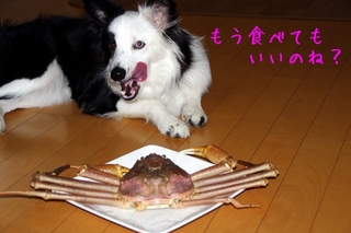 IMGP0325.jpg