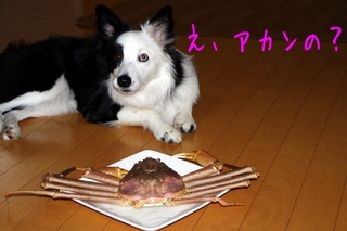 IMGP0326.jpg