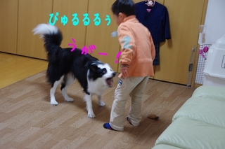 IMGP1069.jpg