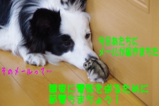 IMGP1110.jpg