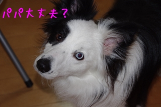 IMGP1376.jpg