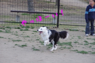 IMGP1396.jpg