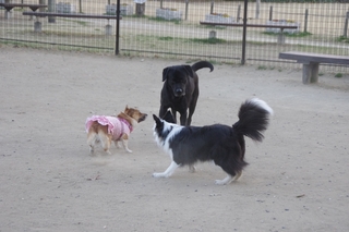 IMGP1427.jpg