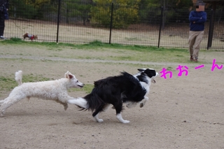 IMGP1432.jpg