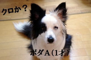 IMGP1444.jpg