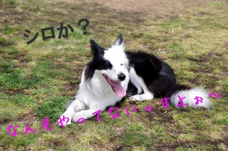 IMGP1494.jpg
