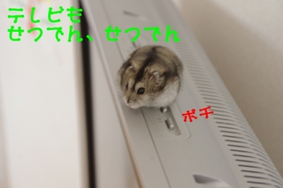 IMGP1683.jpg