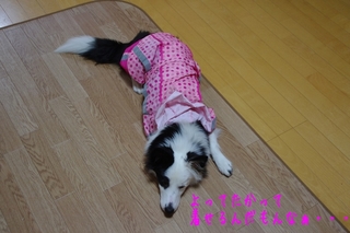 IMGP8926.jpg