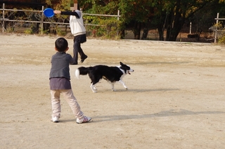 IMGP9140.jpg