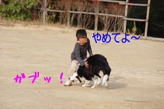 IMGP9186.jpg